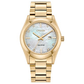 LAD ECO WR100 SSG BRAC WHTE