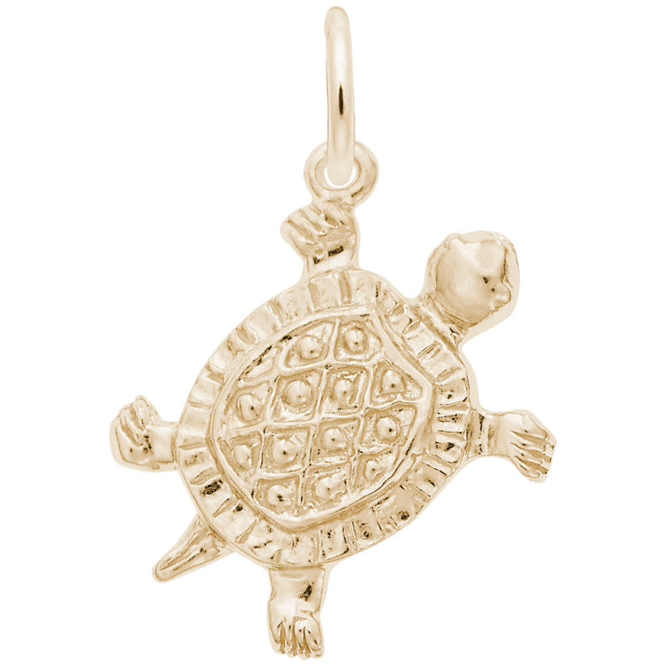 TURTLE