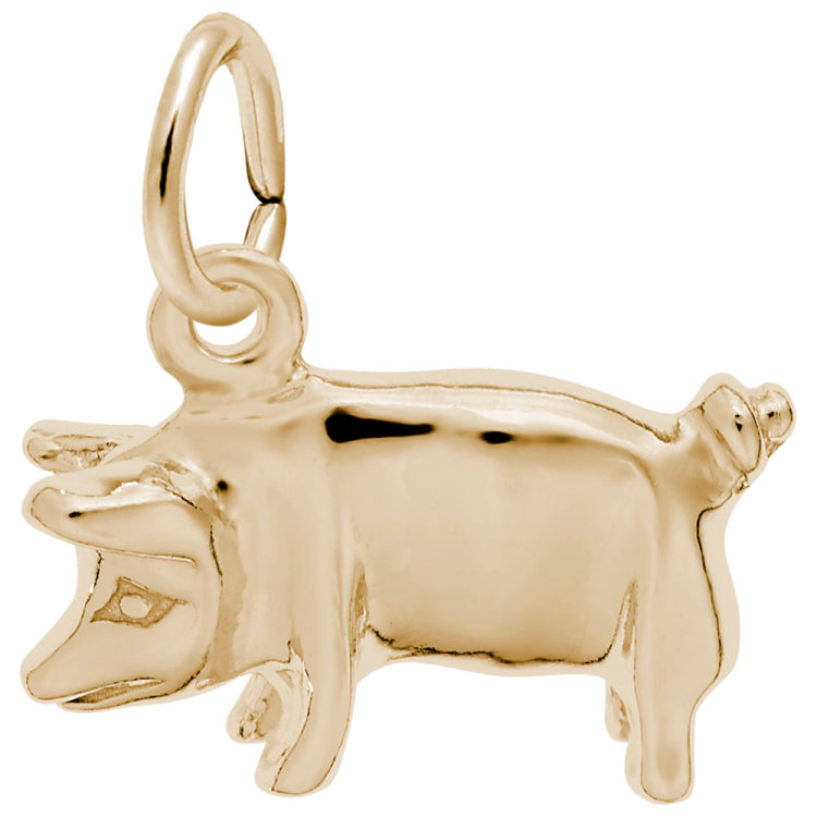 PIG