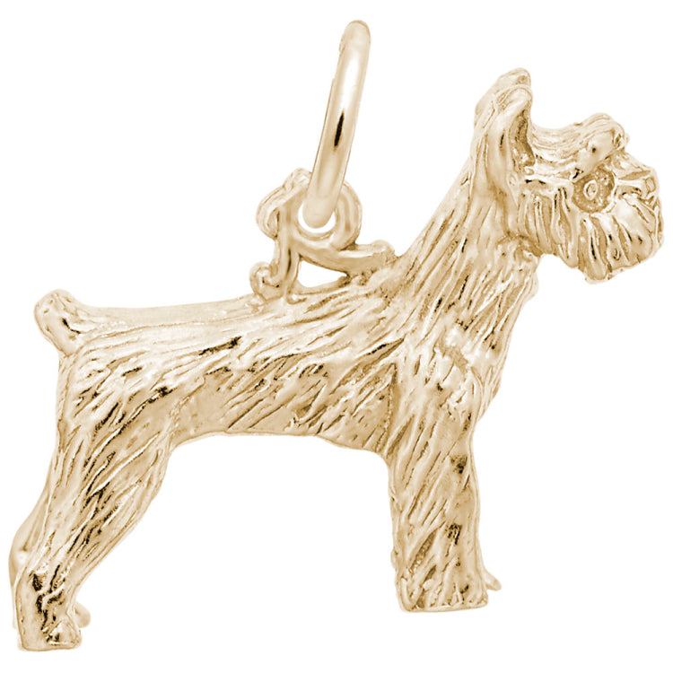 SCHNAUZER