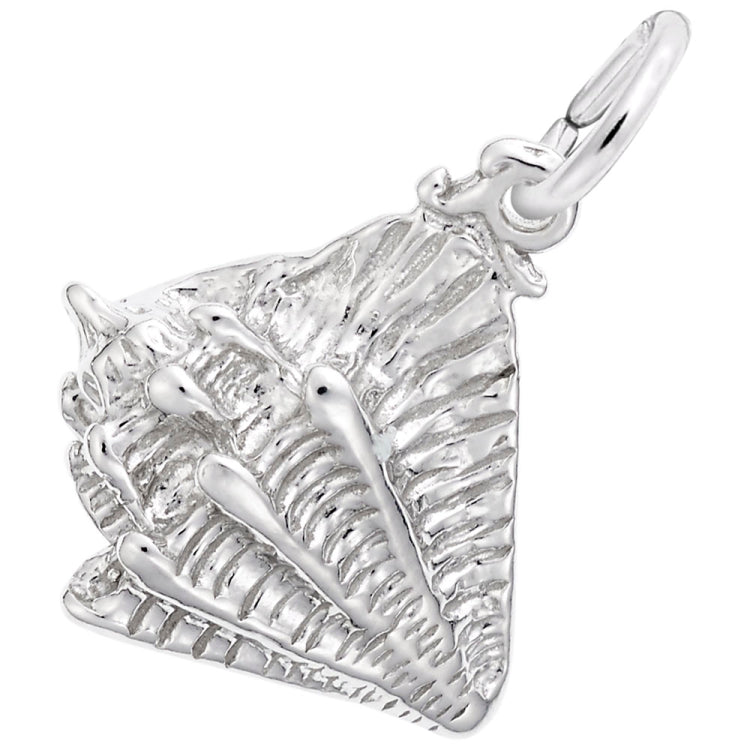 CONCH SHELL