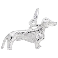 DACHSHUND DOG